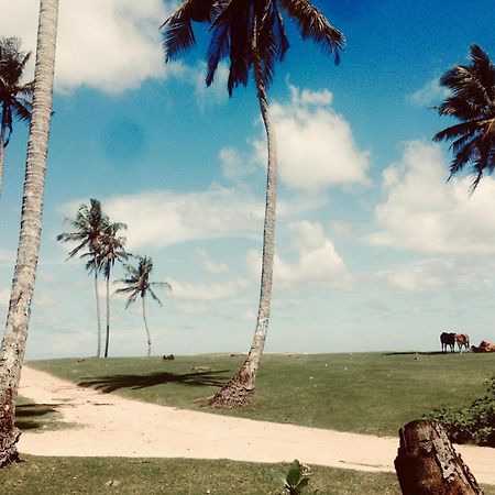 Dorian Guest House And Restaurant Weligama Exterior photo