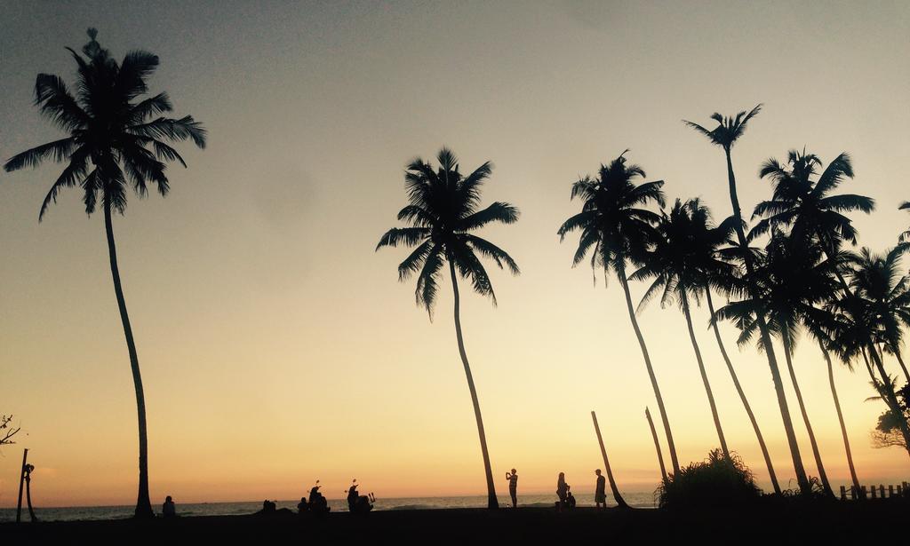 Dorian Guest House And Restaurant Weligama Exterior photo